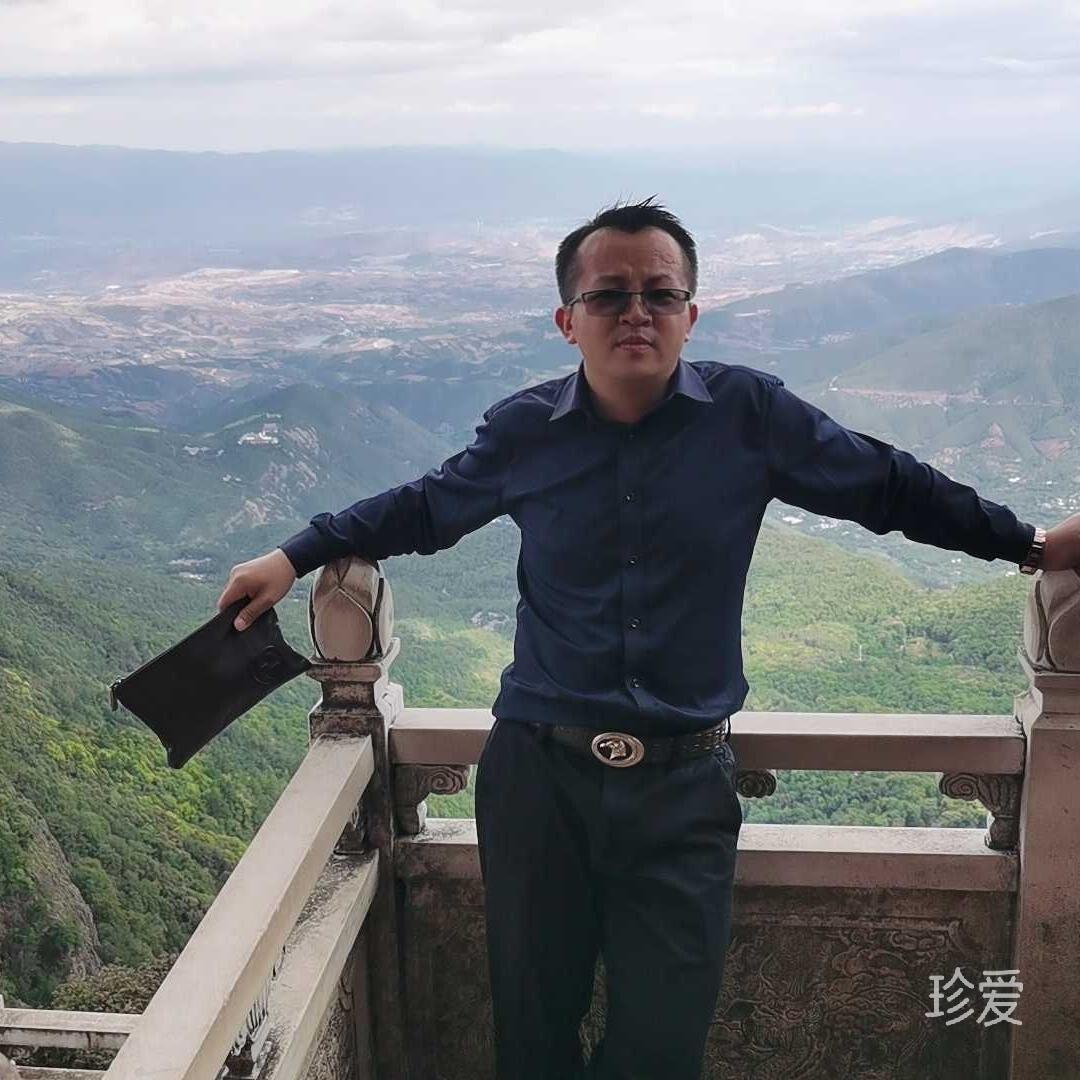 葵花在手