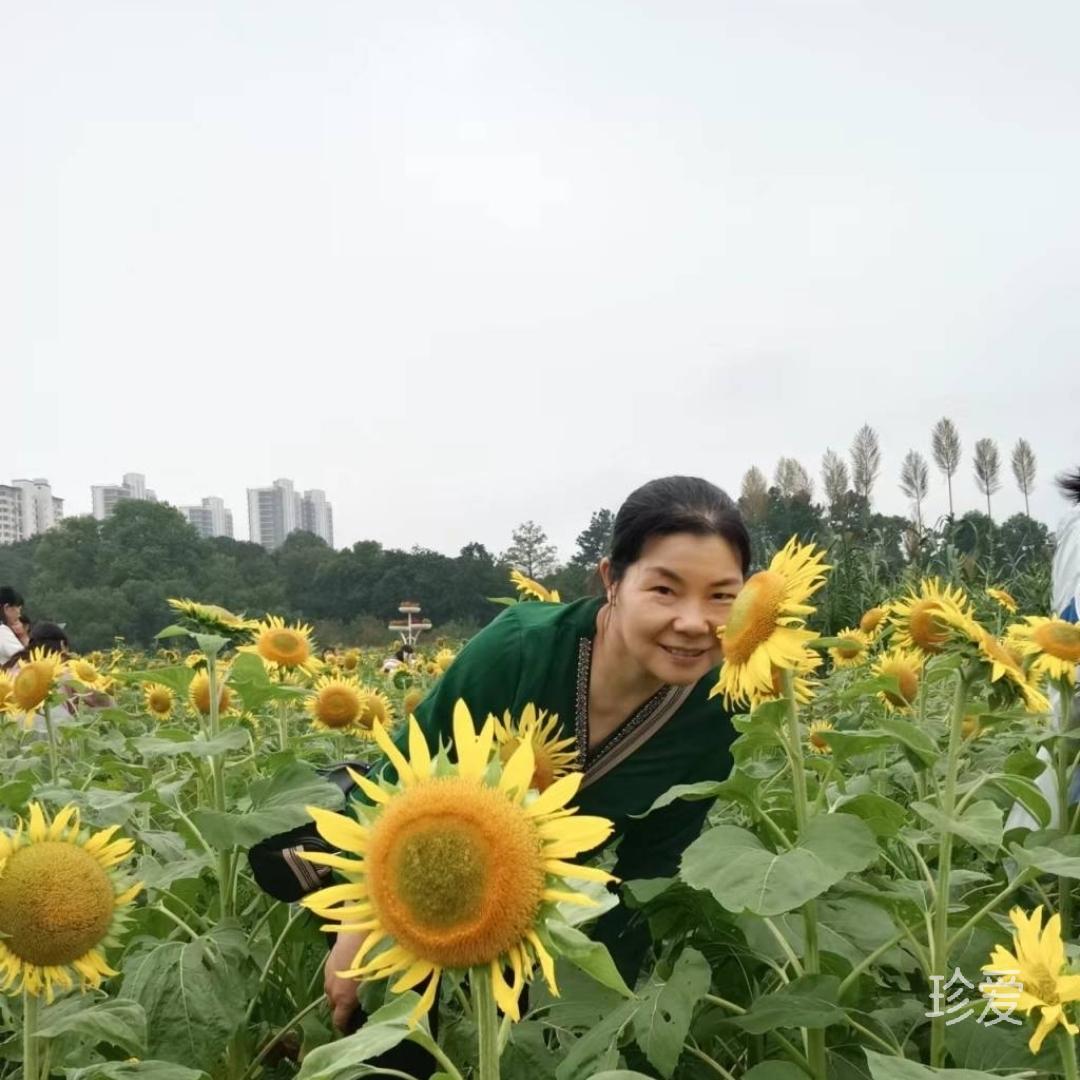 潇潇暮雨