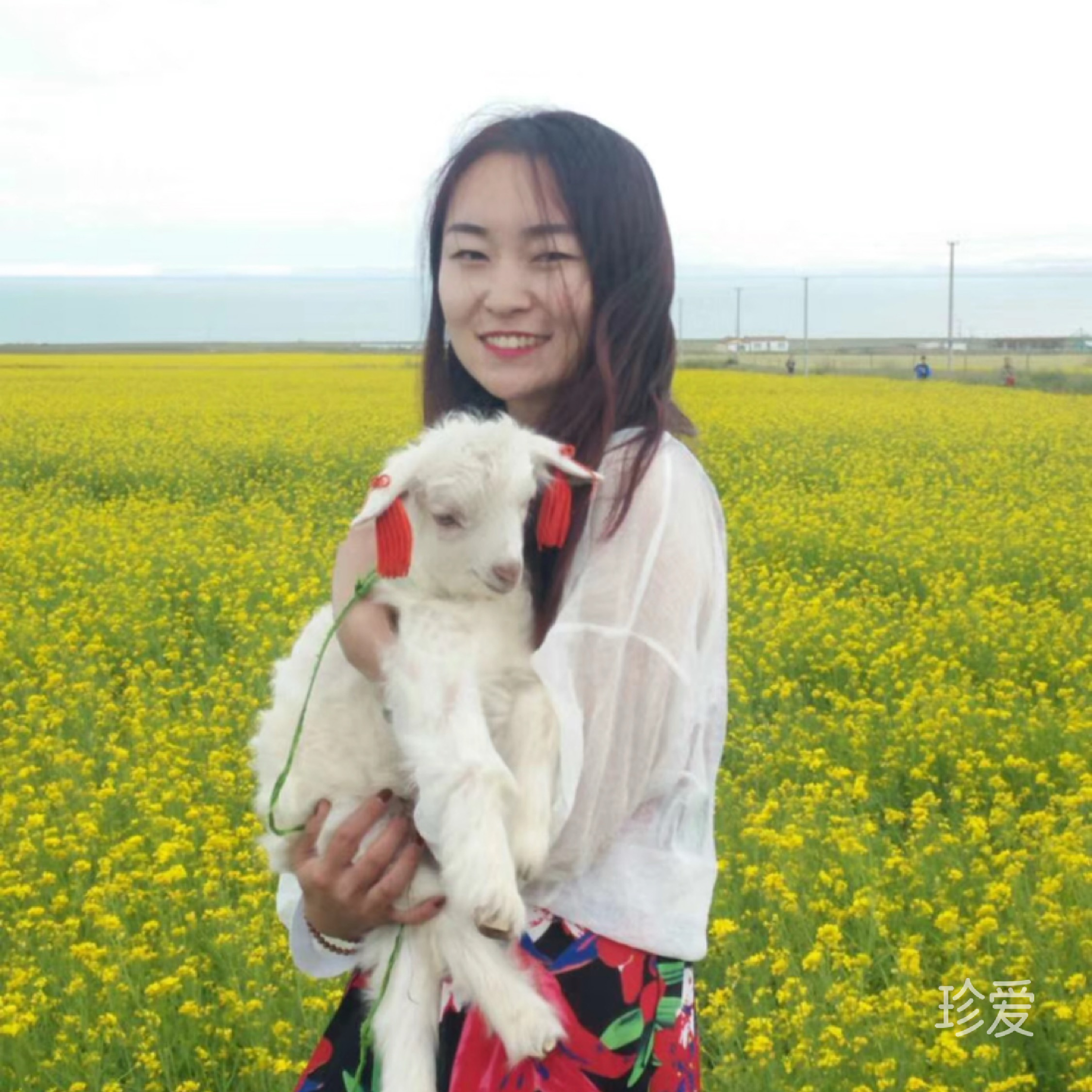是媛总会圆
