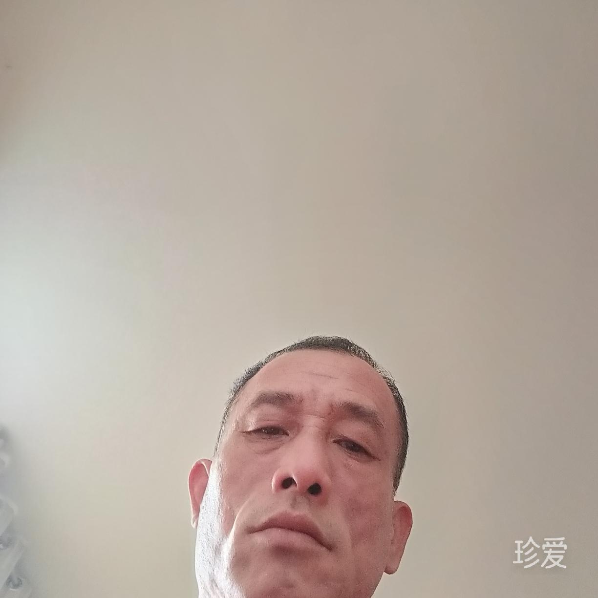 风之弑