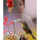 春力
