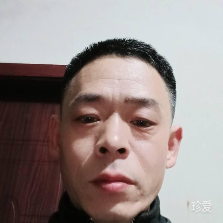 老莫