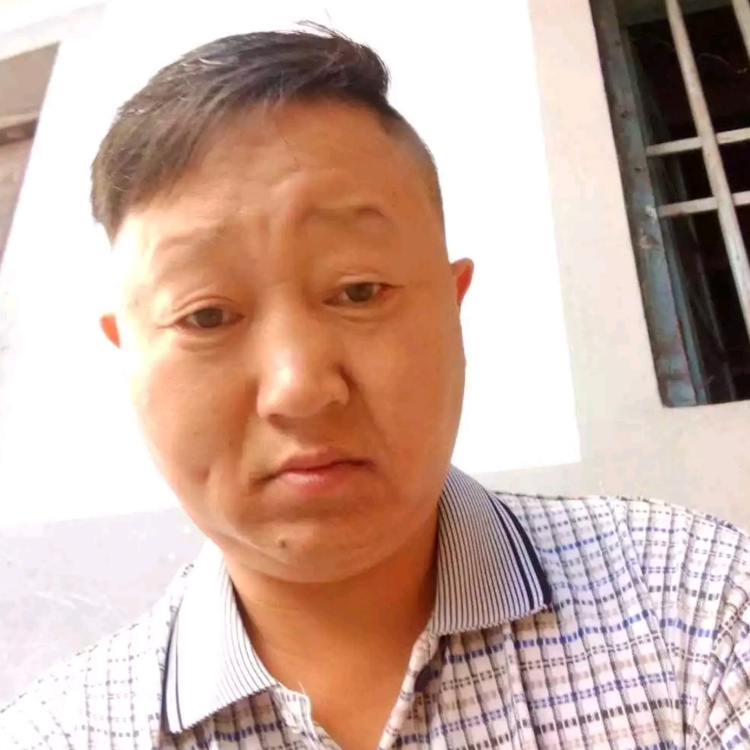 骑着蚊子闯天下