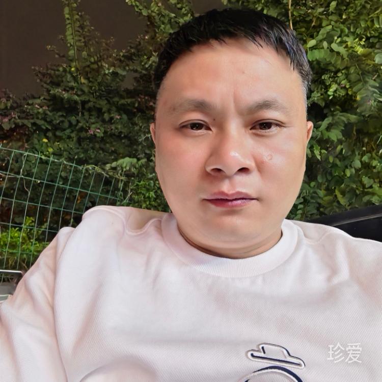 大漠孤杨