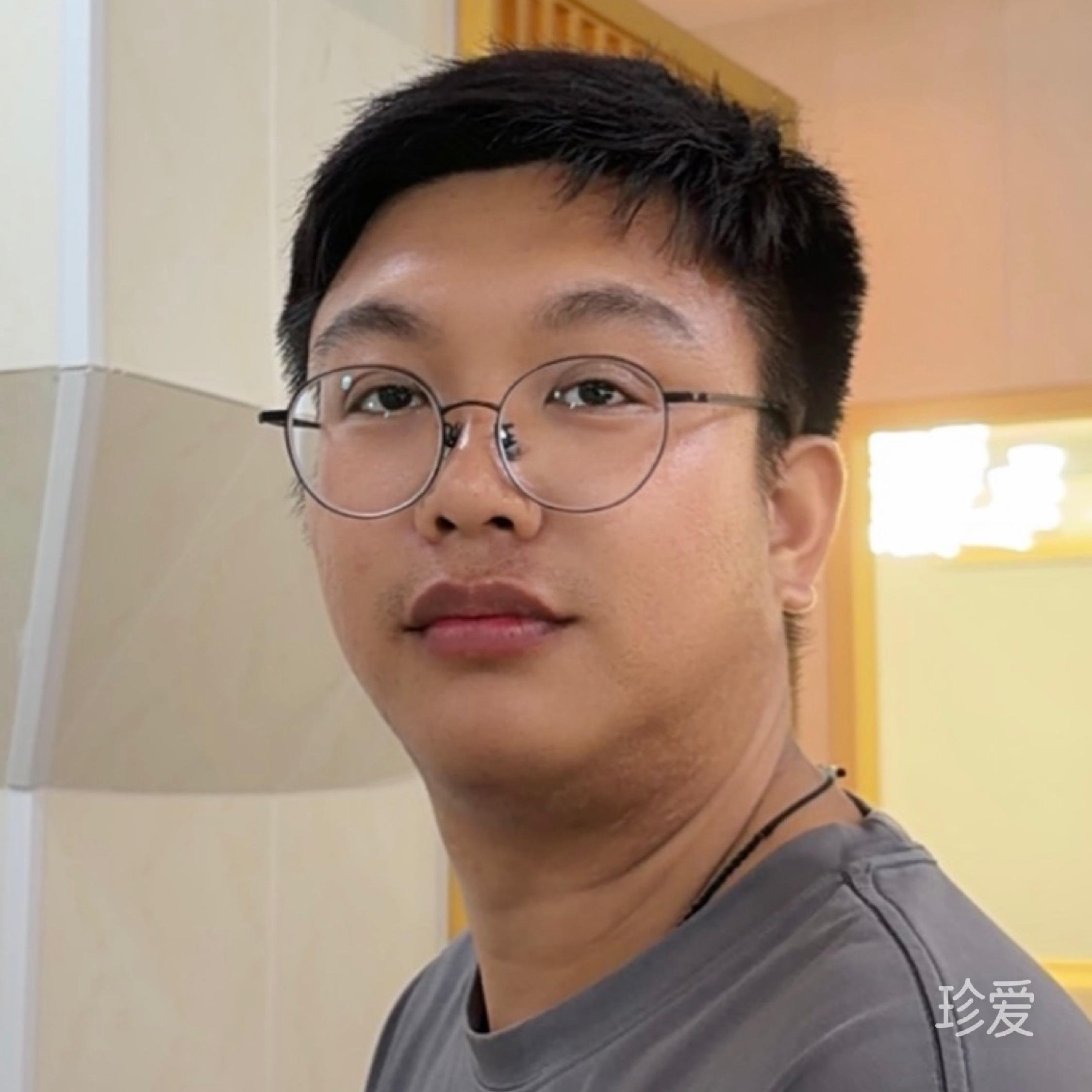 会开巡航摩托的猫