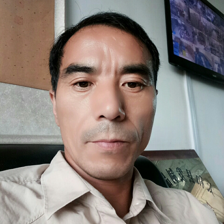 停止流浪