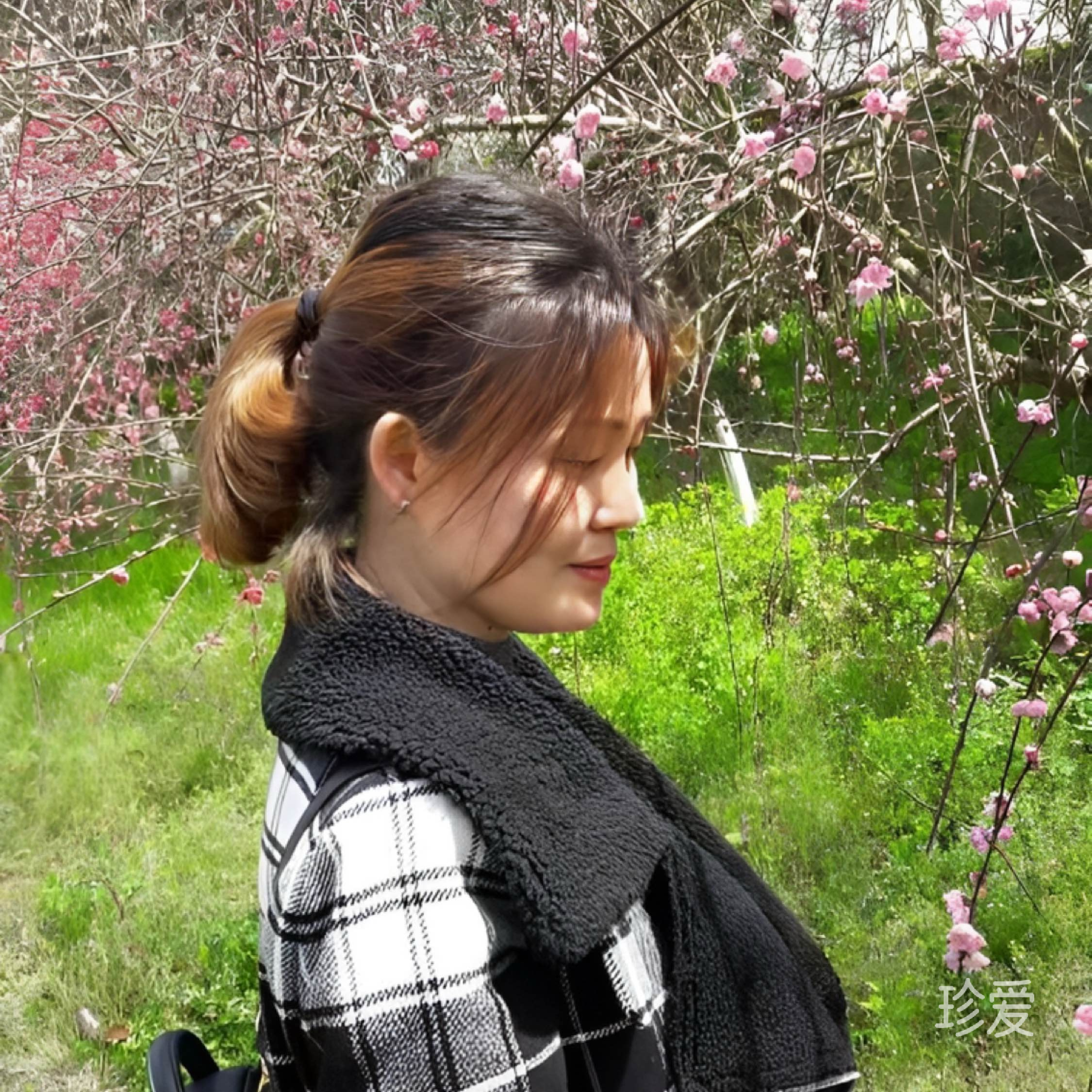萍安喜乐