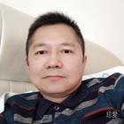 冬天的梧桐樹
