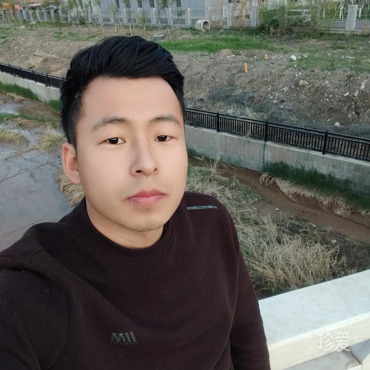 爱上鱼的猫