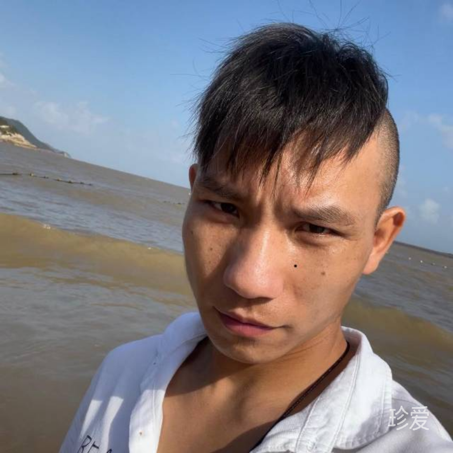 悟慧