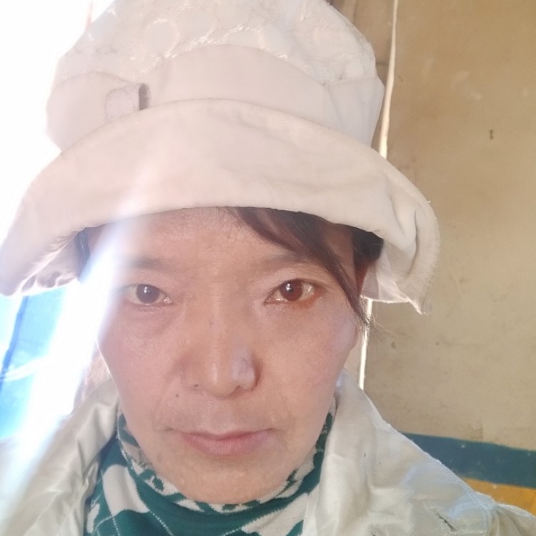 不会飞的小鸟1980