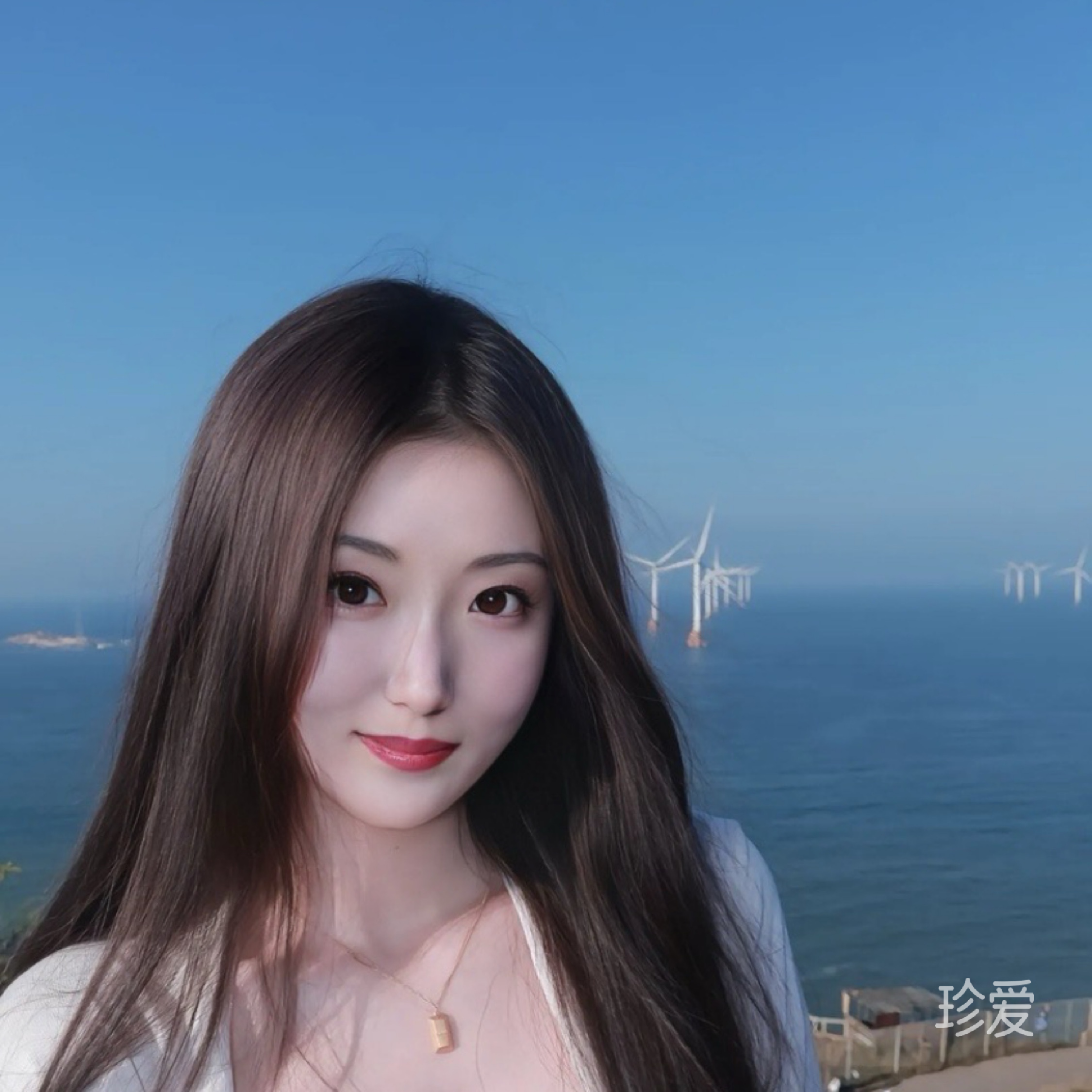 抱拙守普
