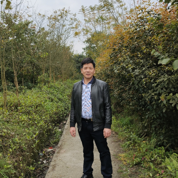 南風(fēng)不及你溫柔