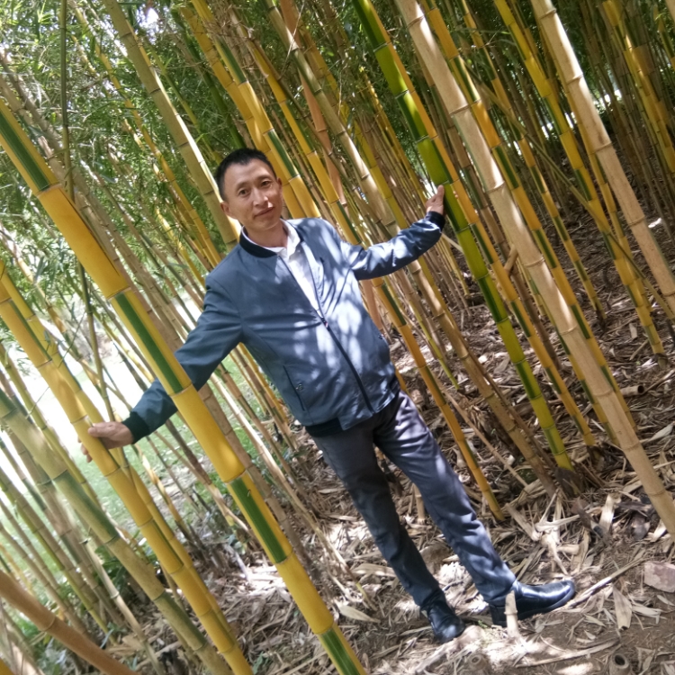 等待玫瑰的男孩