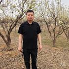 宏