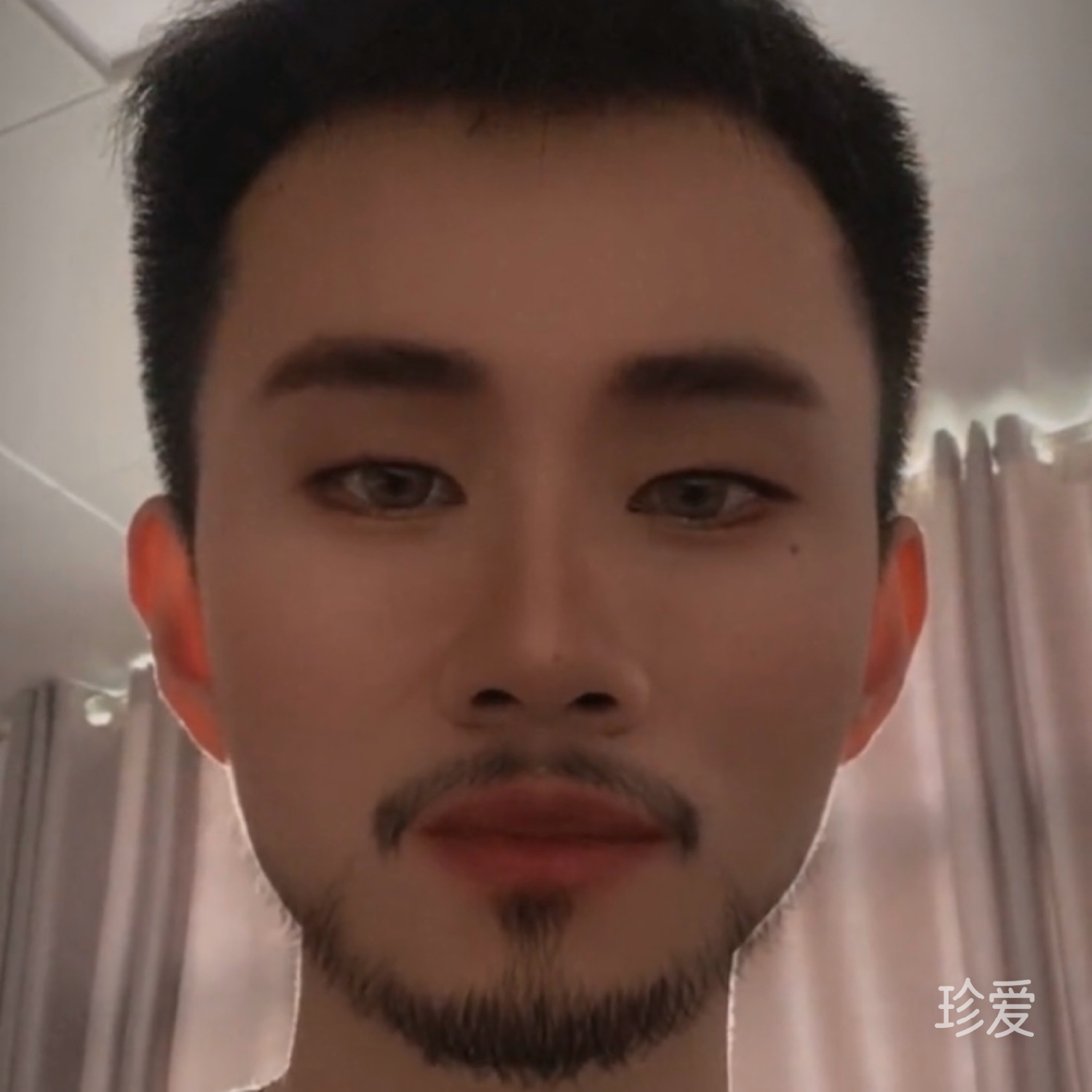 叮當(dāng)貓喵了個咪