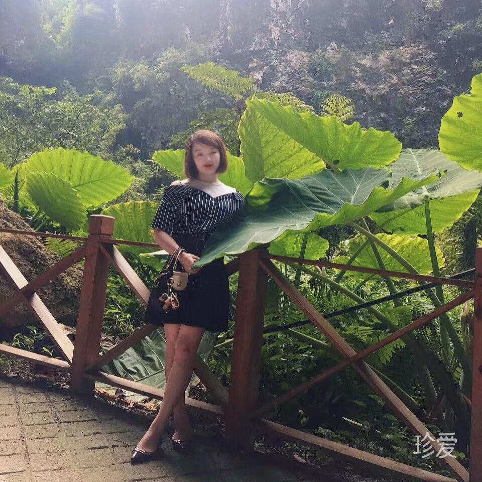 柒柒