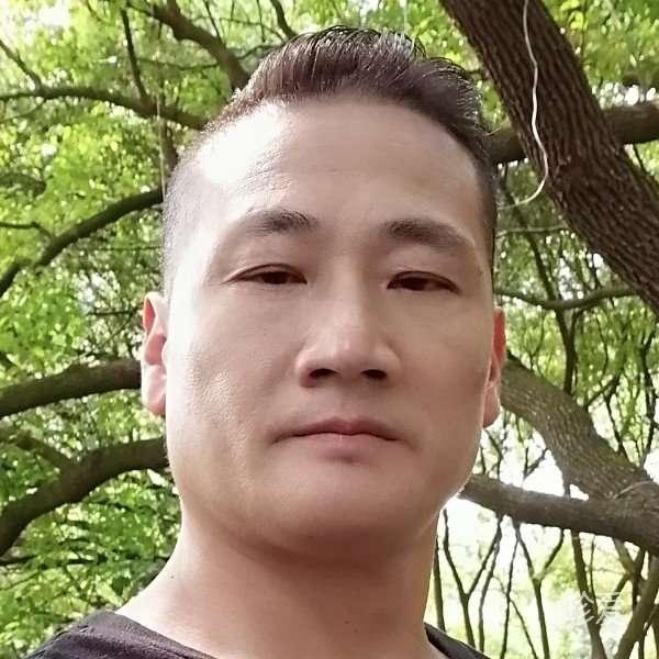 风一样自由的我