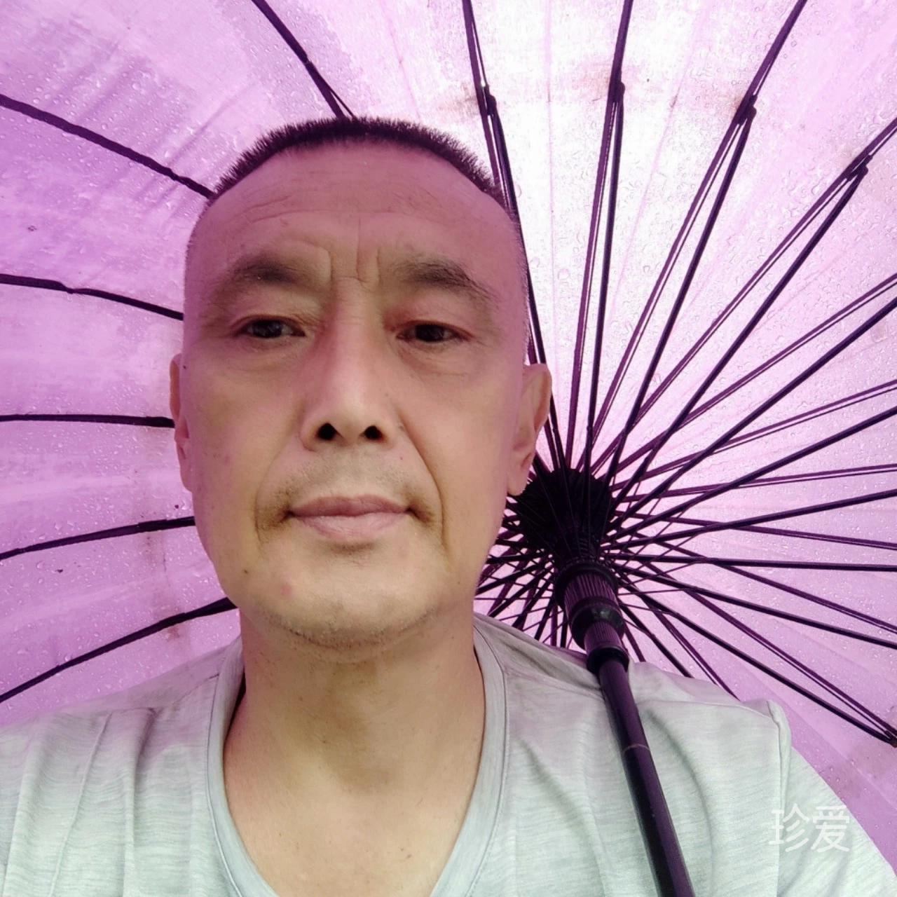 蚂蚁