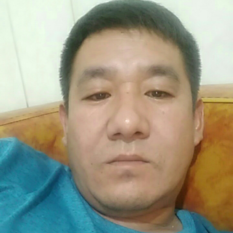 誰(shuí)伴我闖蕩