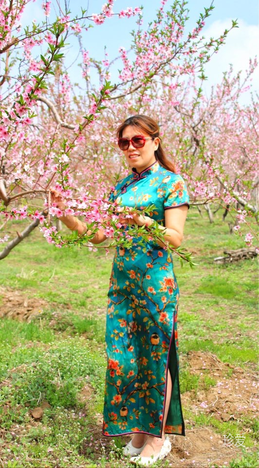 做你的小鳥依人