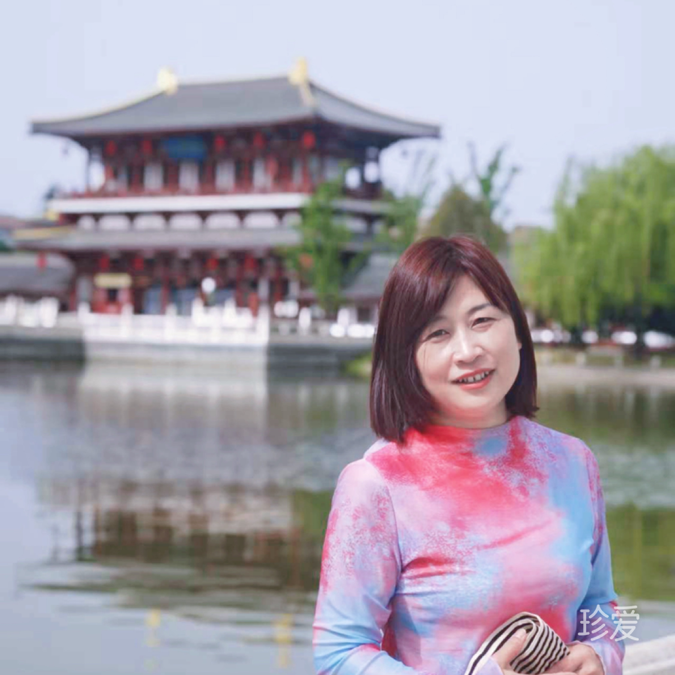 風(fēng)中的向日葵