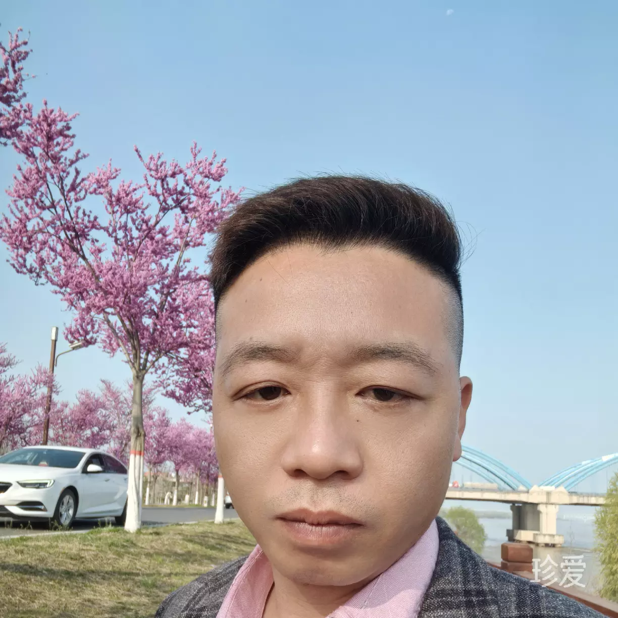 一抹清风醉红尘