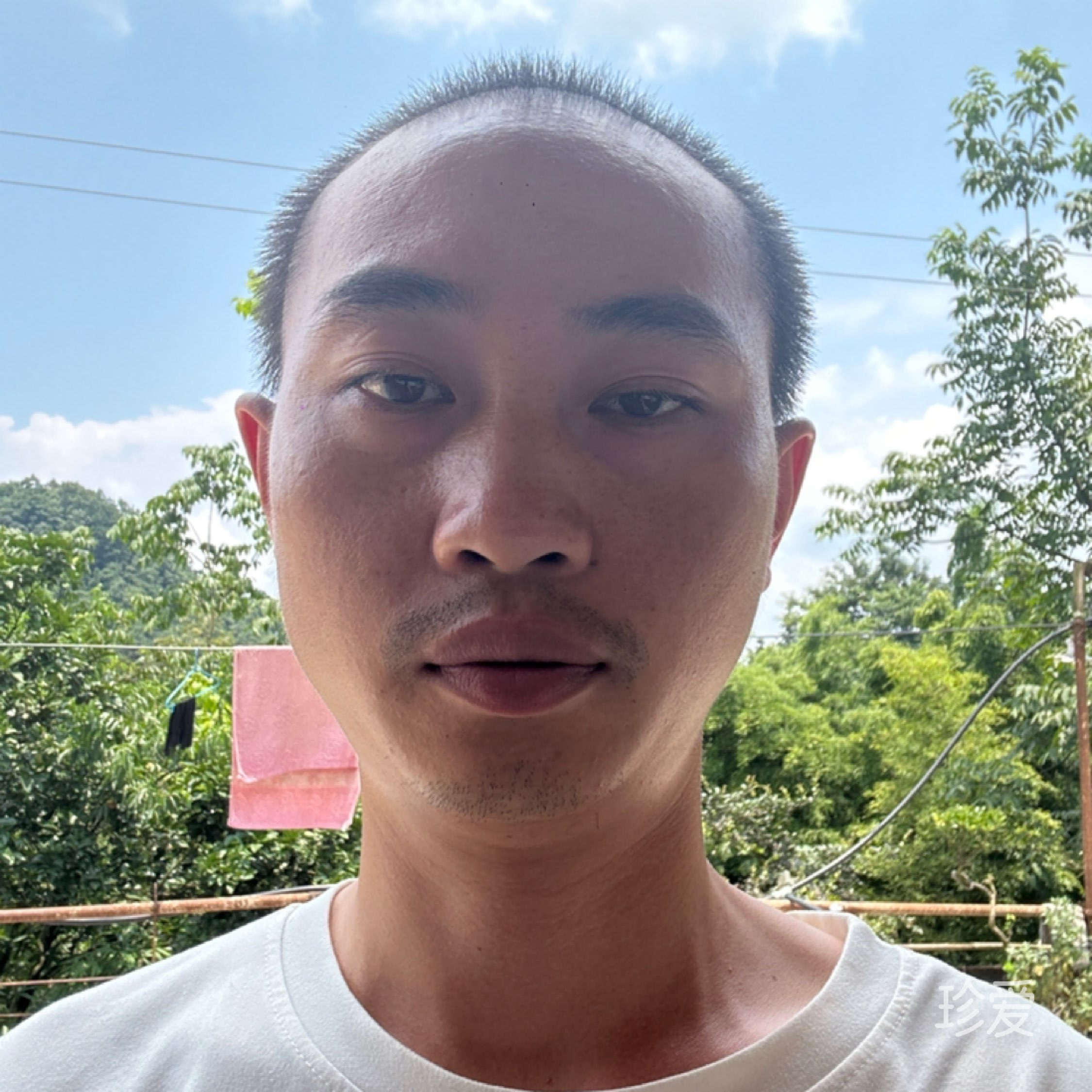 迟来的爱