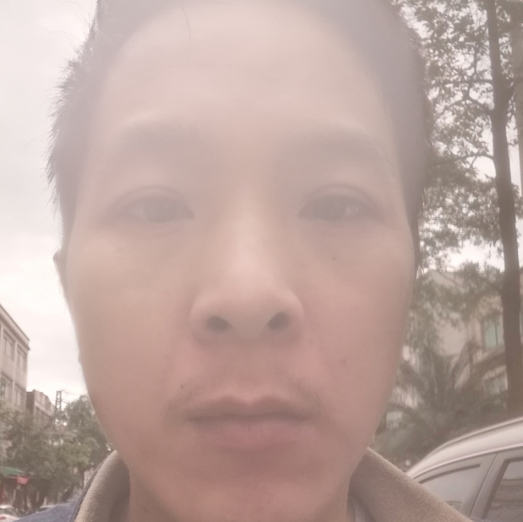 落花有意流水无情