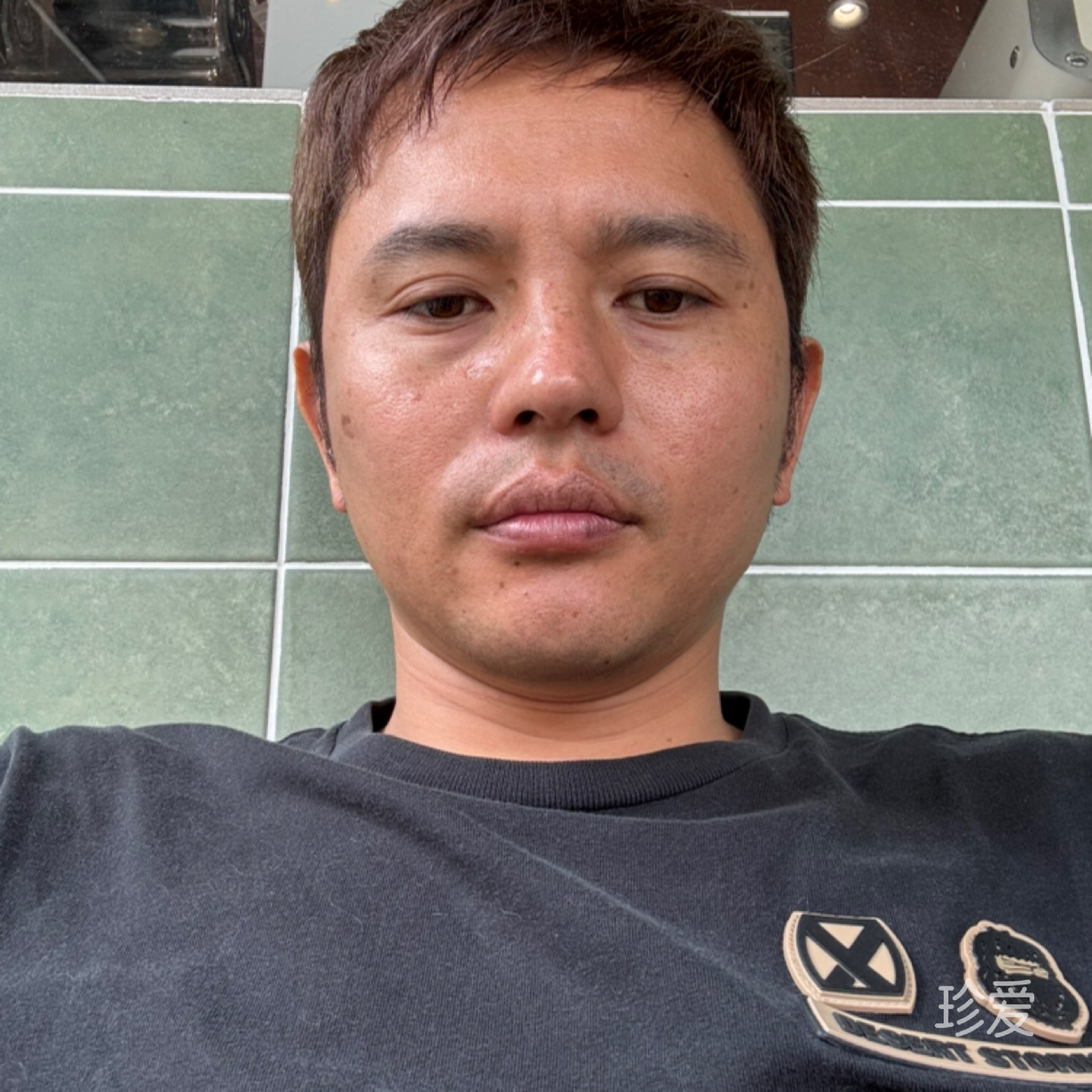 我系雄