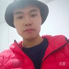 冷樹葉