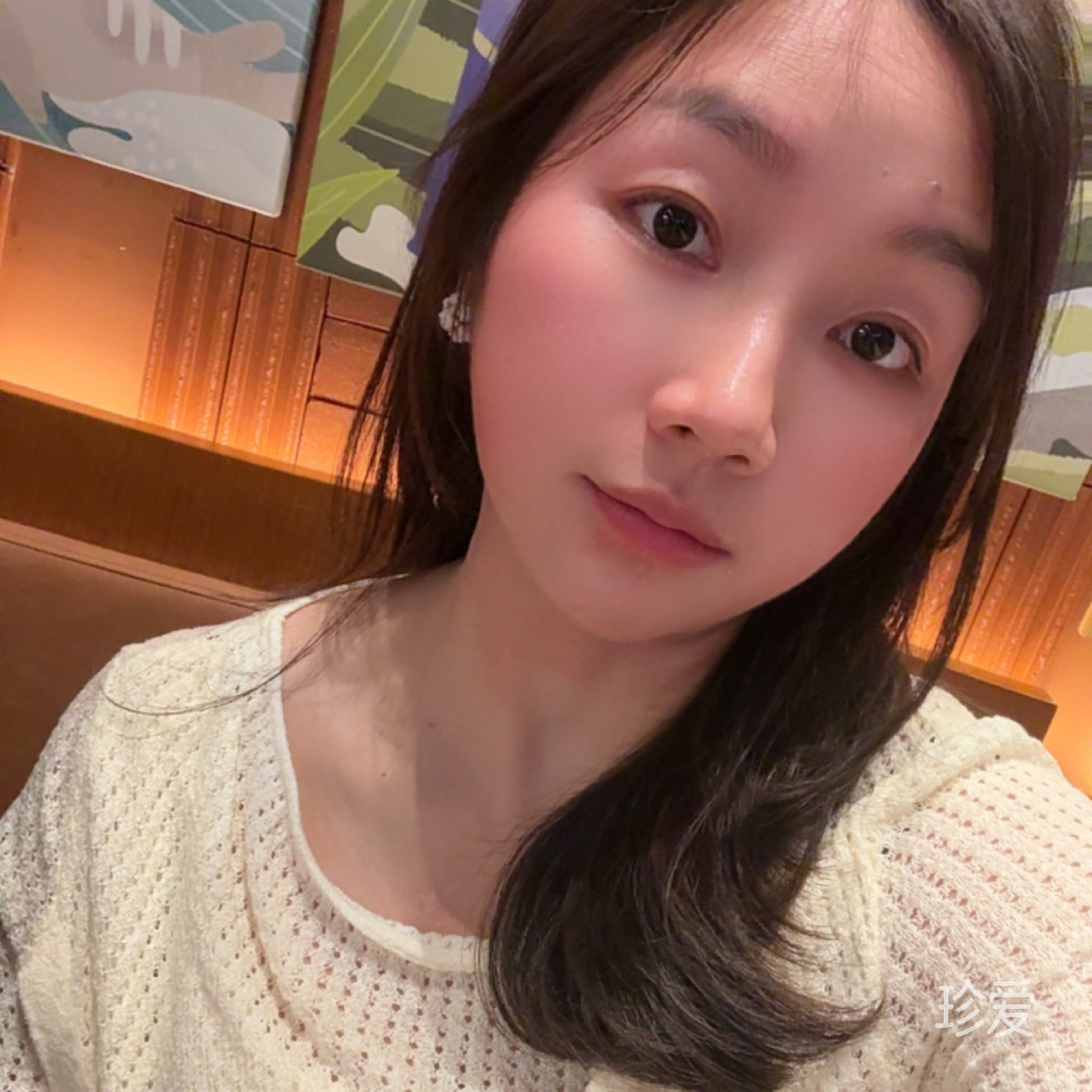 巧克力狗