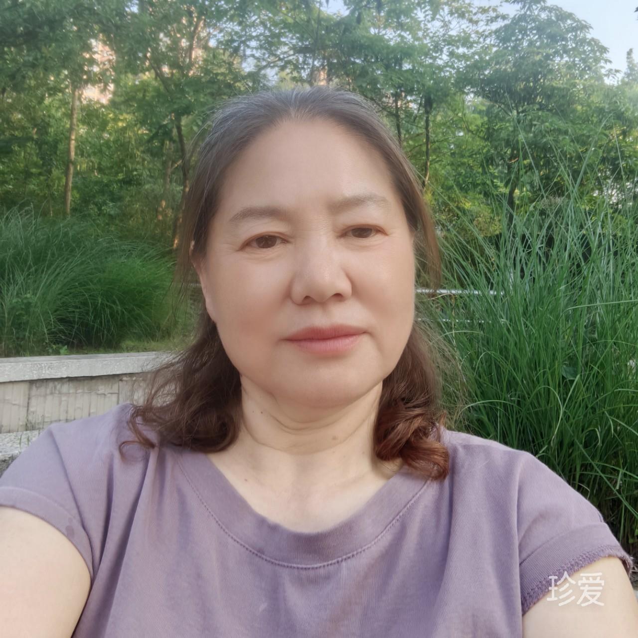 雨中蔷薇