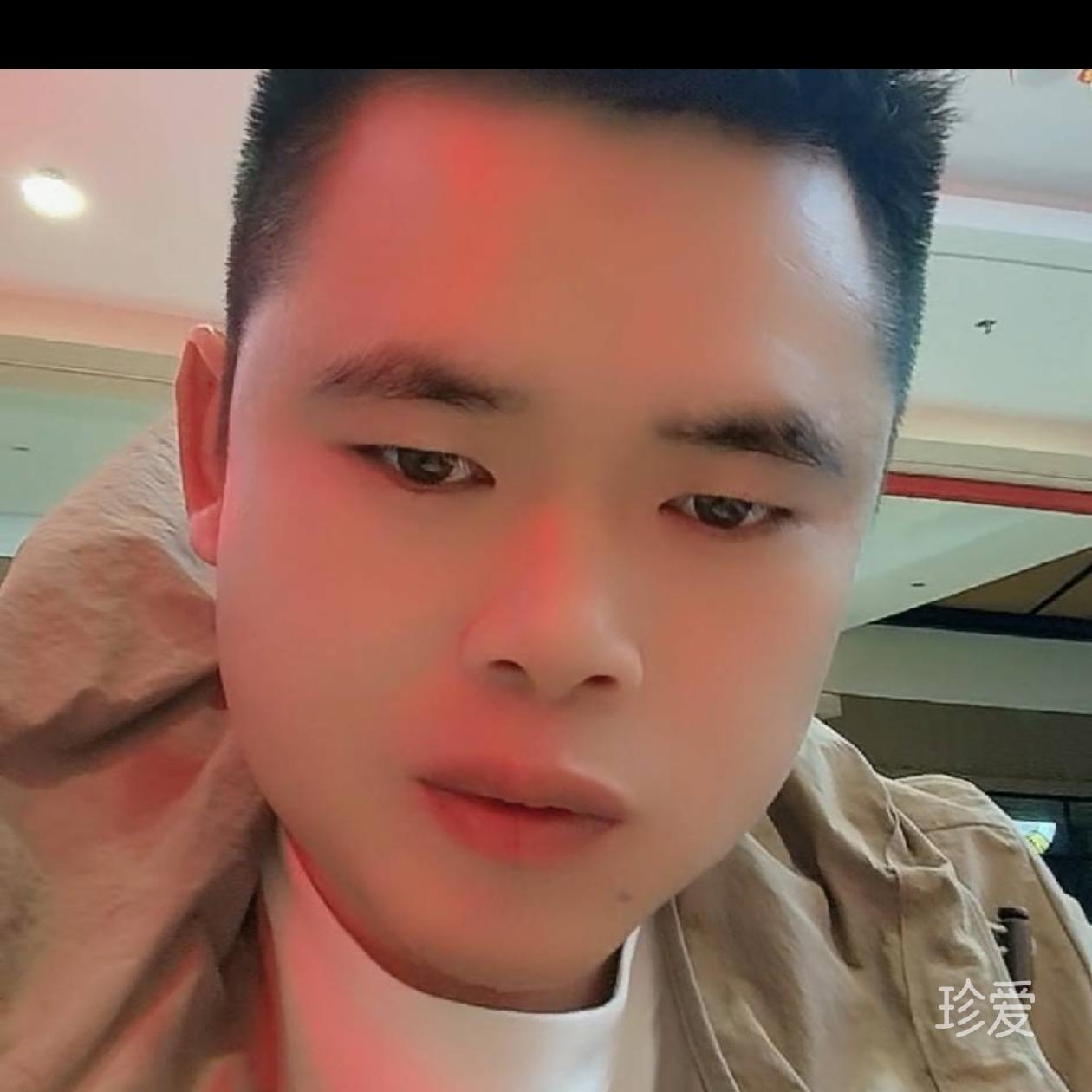 梦随风飘