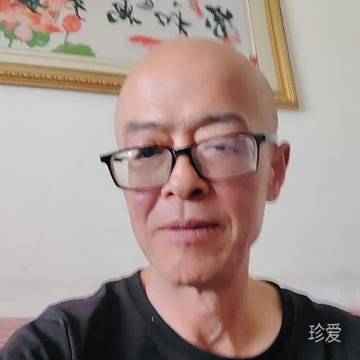 真情等待