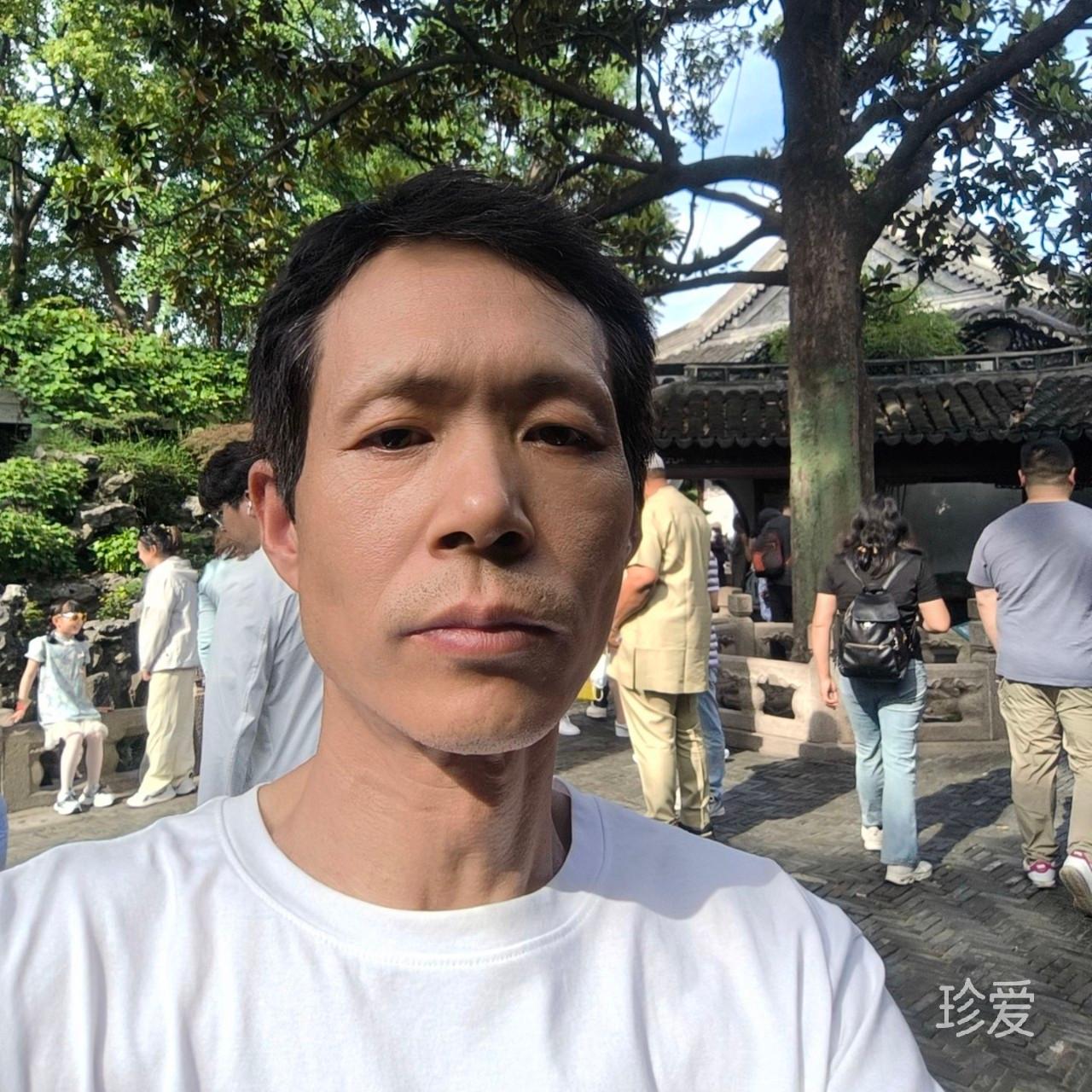 一叶知秋
