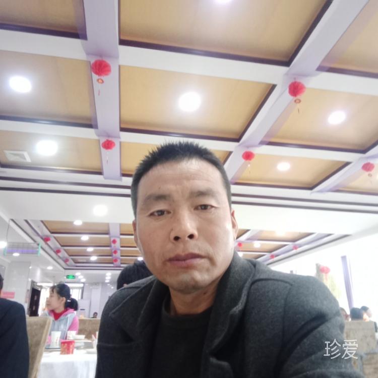 一顆真心在等待