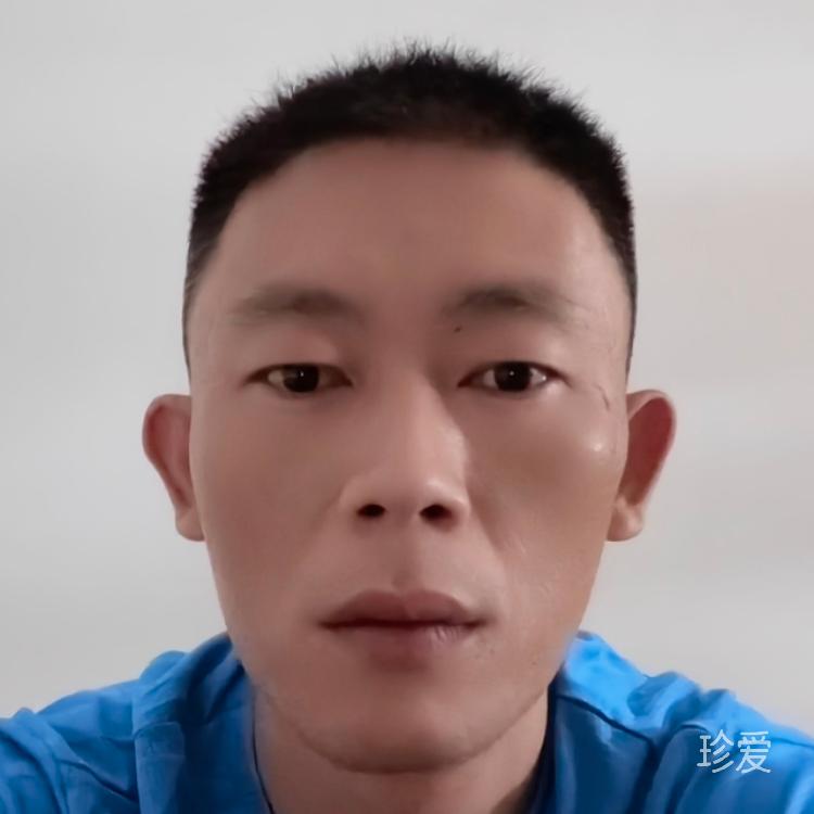 一片陽光一片海