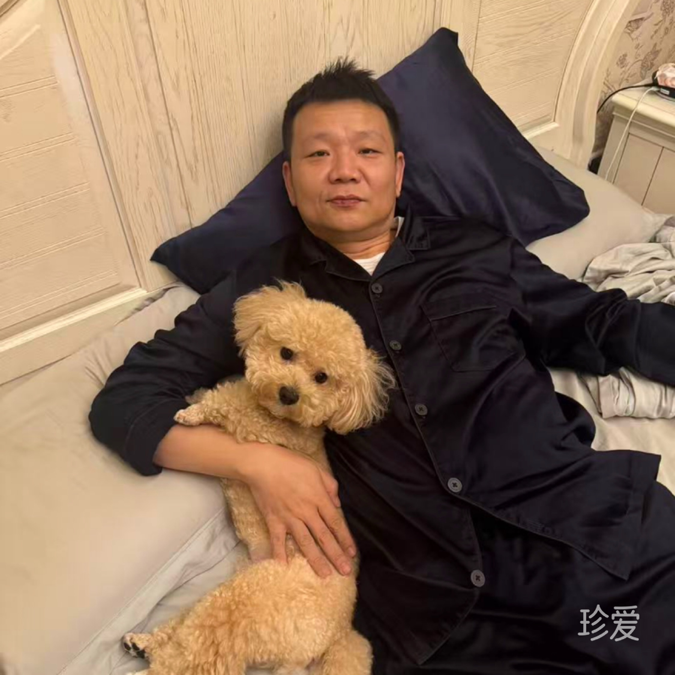 鹿鹿