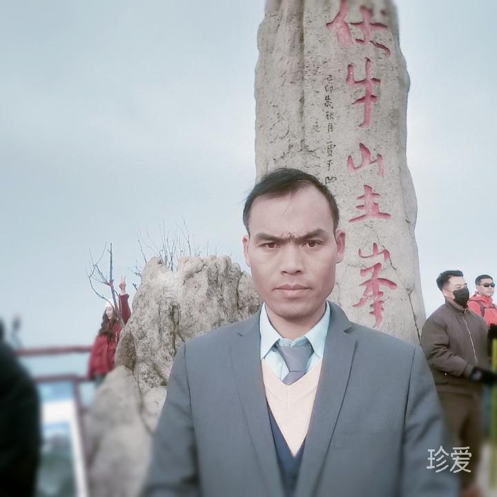 玉树林风