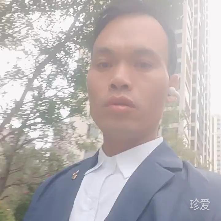 玉树林风