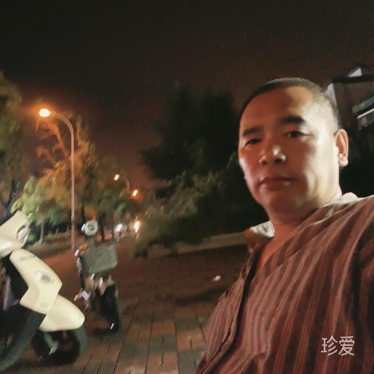 阿里山的狼