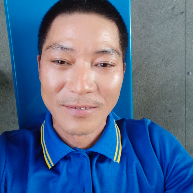 梧桐
梧桐
梧桐
