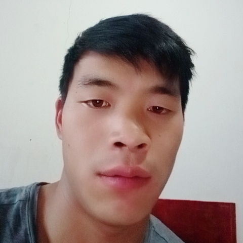 忠忠若只如初见