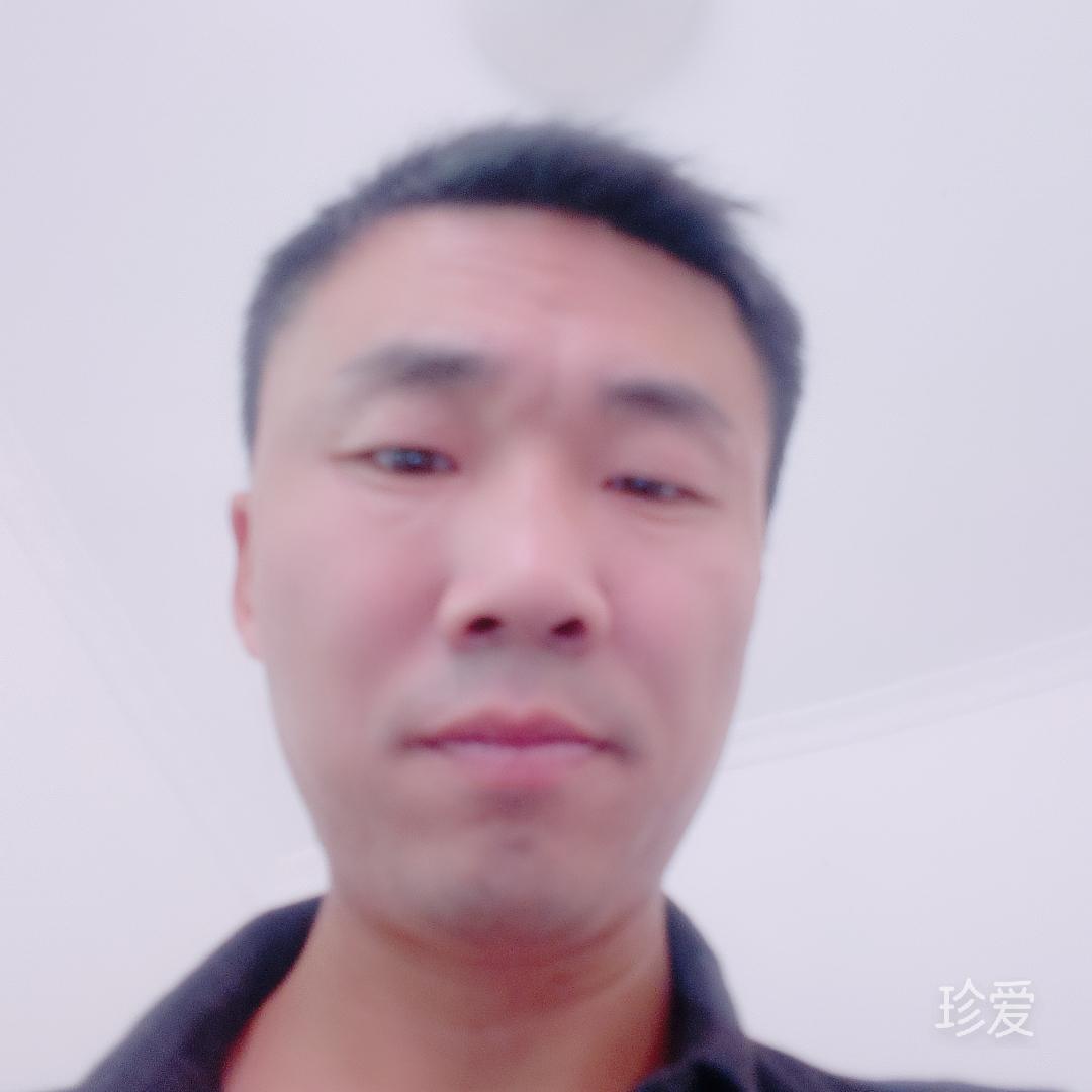 荒漠中的一片葉