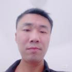 荒漠中的一片葉