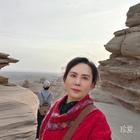 淡淡的歌