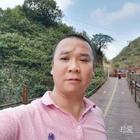 南方黑芝麻