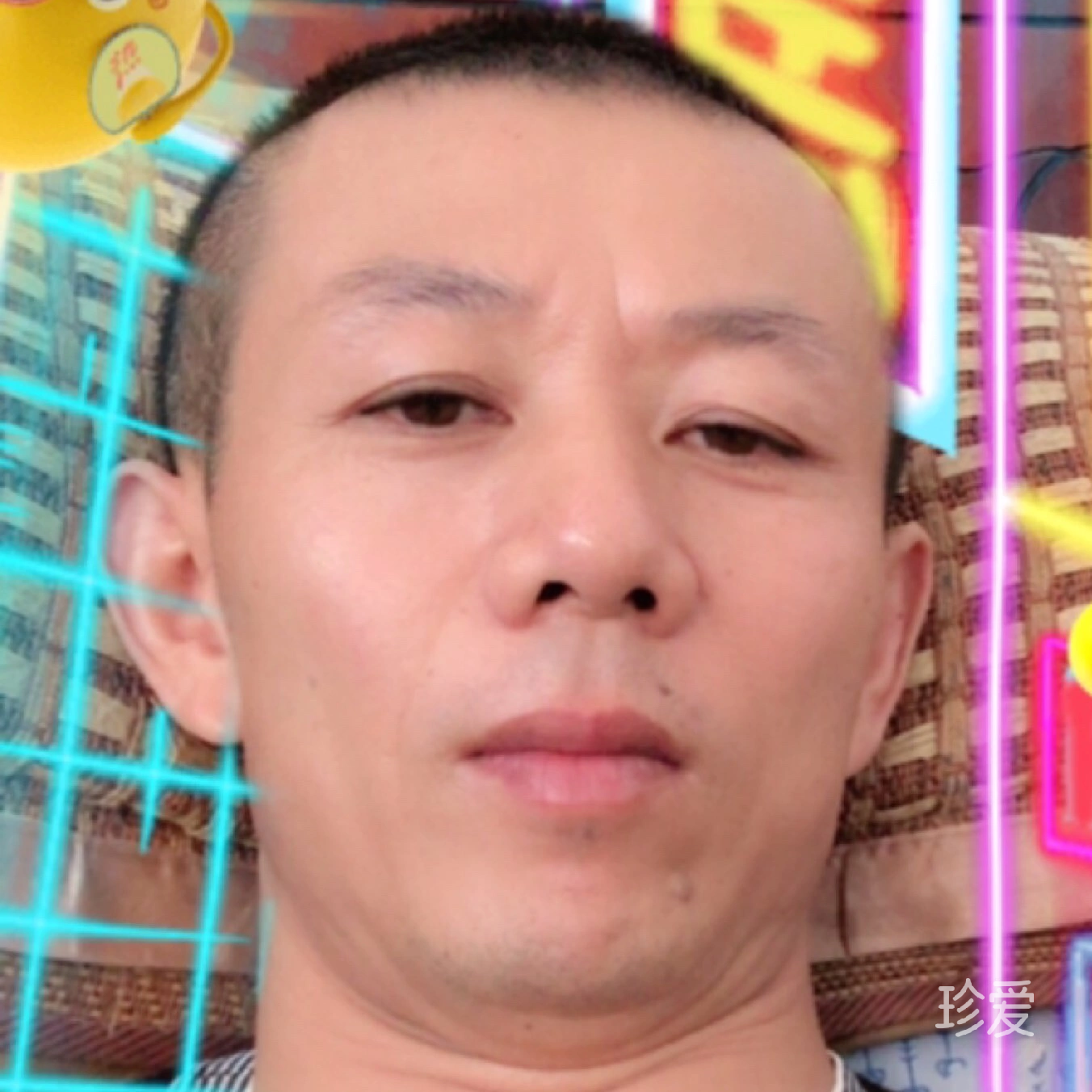 落单的候鸟