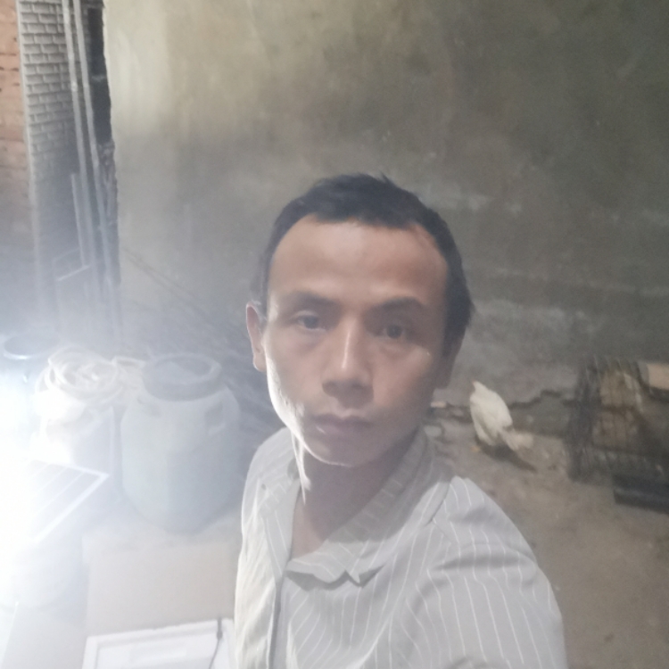 做一个快乐的笨蛋